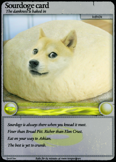 card-13-series-1